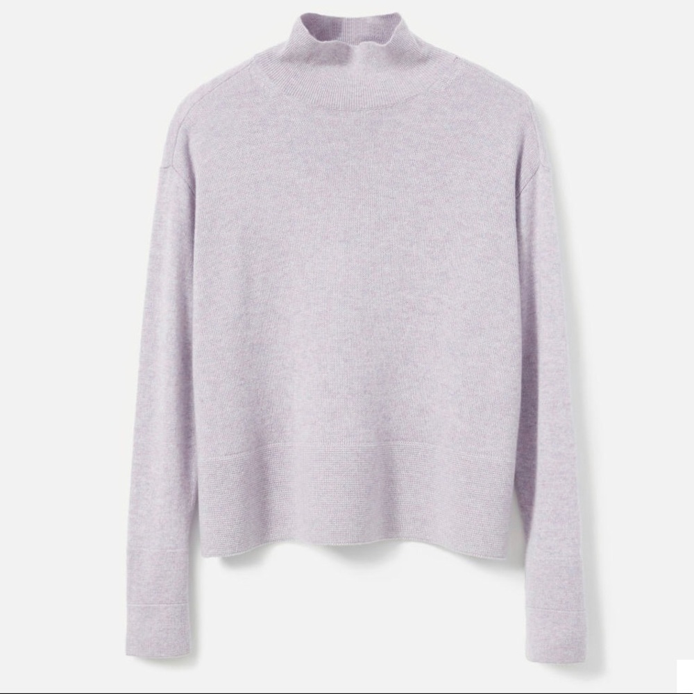 Everlane The Cashmere Square Turtleneck